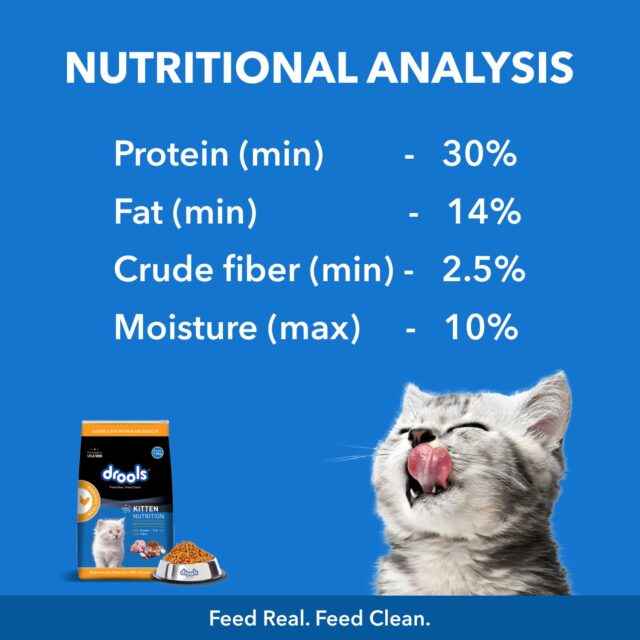 Drools Kitten Dry Cat Food - Real Chicken (1.2 kg | 3 kg) - Image 2