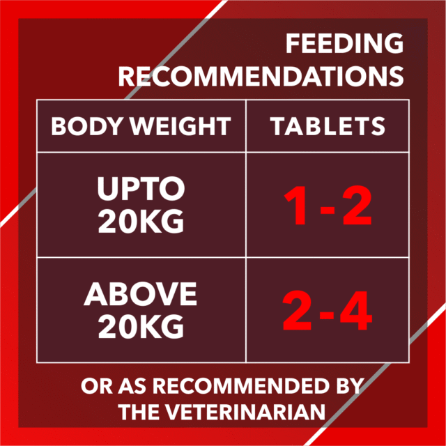 Drools Absolute Calcium Tablet – Dog Supplement (50 Pieces | 110 Pieces) - Image 8