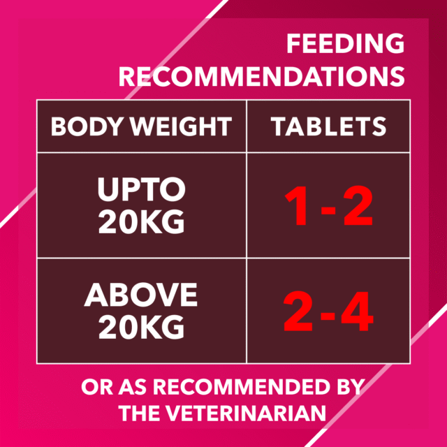 Drools Absolute Skin + Coat Tablet – Dog Supplement (50 Pieces | 110 Pieces) - Image 7