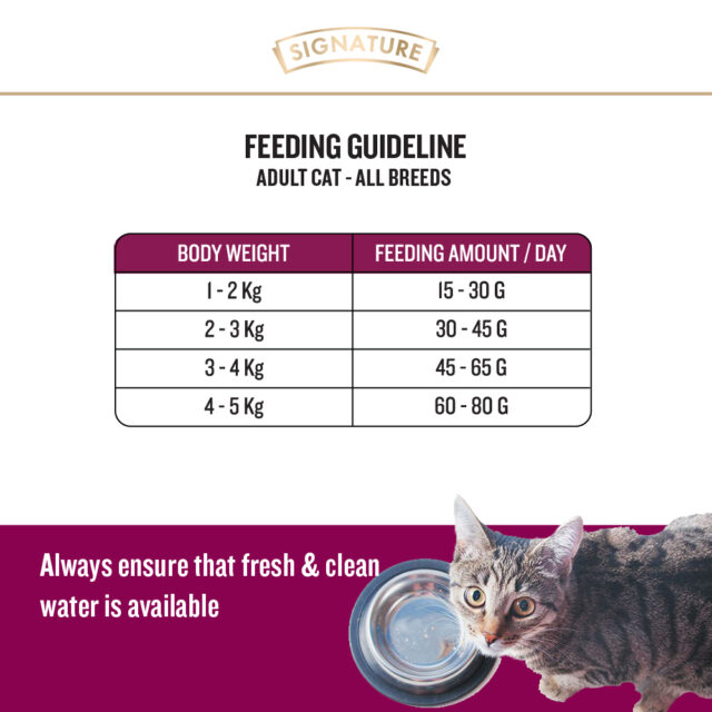 Signature Grain Zero Ocean Fish - Sardine and Mackerel Adult Cat Dry Food - Image 6