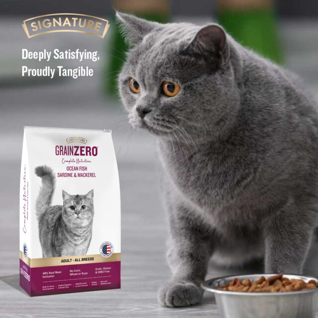 Signature Grain Zero Ocean Fish - Sardine and Mackerel Adult Cat Dry Food - Image 7