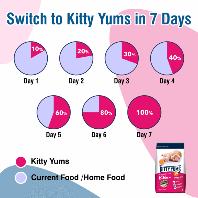 Kitty Yums Ocean Fish - Kitten Dry Cat Food 1kg (with Free Container) - Image 5