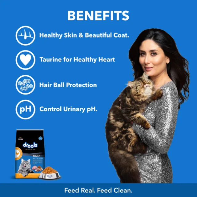 Drools Adult Dry Cat Food - Real Chicken (1.2 kg | 3 kg) - Image 5