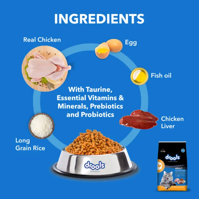 Drools Adult Dry Cat Food - Real Chicken (1.2 kg | 3 kg) - Image 2
