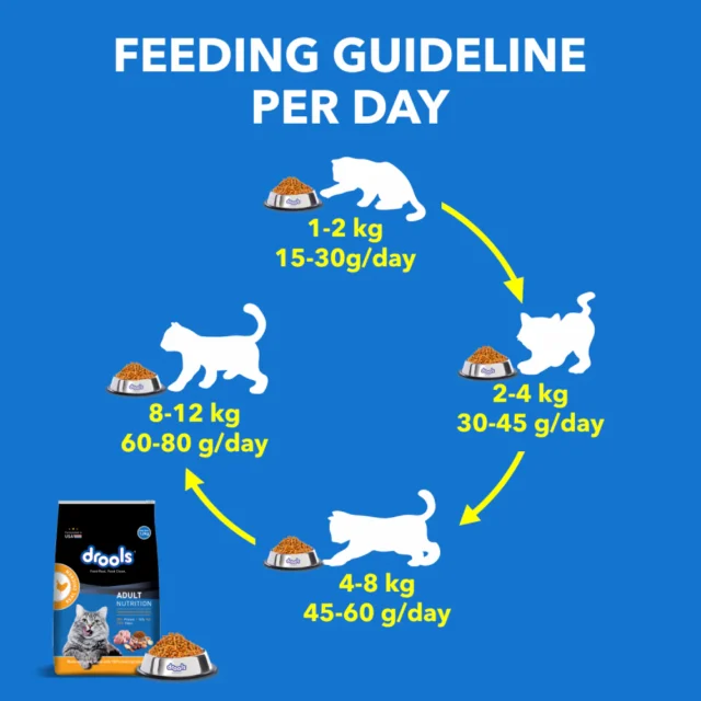 Drools Adult Dry Cat Food - Real Chicken (1.2 kg | 3 kg) - Image 4