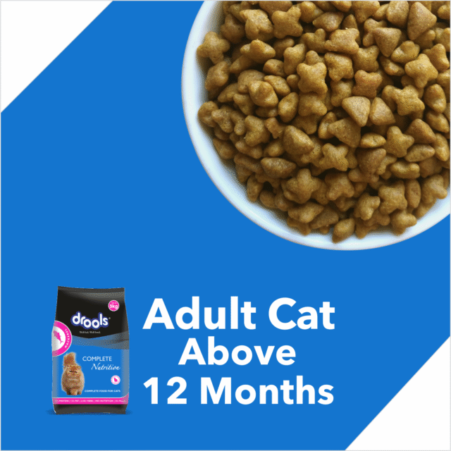 Drools Adult Dry Cat Food – Mackerel | Complete Nutrition for Cats (1.2kg | 3kg | 7 kg) - Image 5