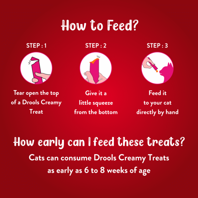 Drools Salmon & Skipjack Creamy Cat Treats (5 Sticks) - Image 3