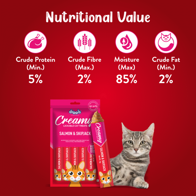 Drools Salmon & Skipjack Creamy Cat Treats (5 Sticks) - Image 4