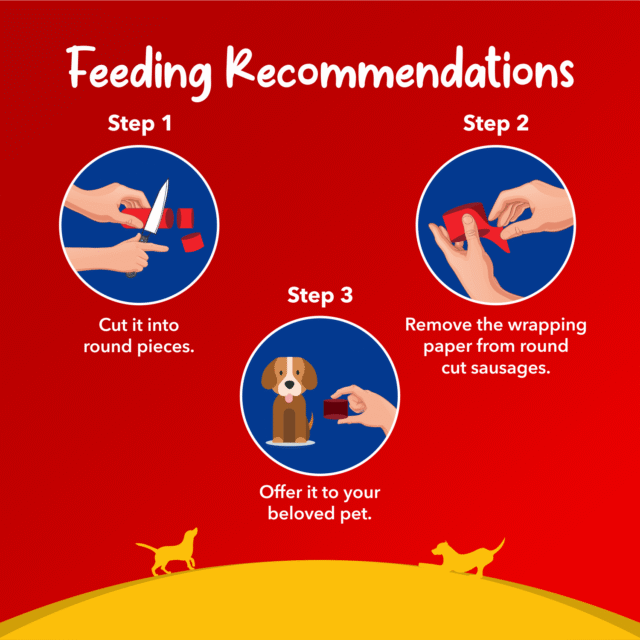 Drools Real Chicken Sausage for Dogs – 10 Pieces Jar (300 g) - Image 4