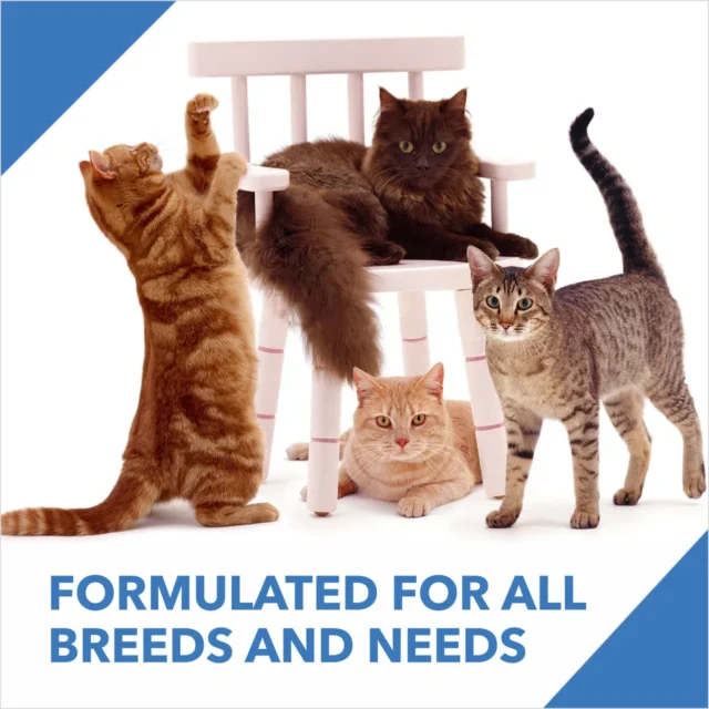 Drools Adult Dry Cat Food - Real Chicken 7 kg + Free 5 kg Drools Cat Litter - Image 4