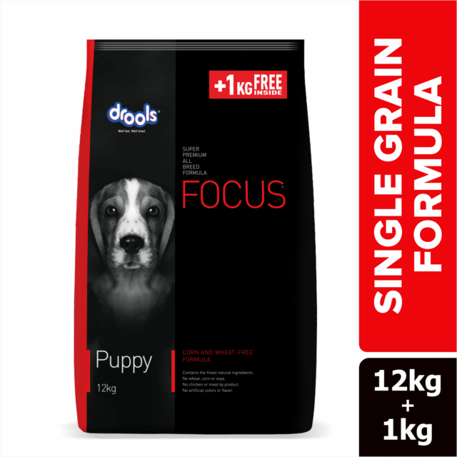 Drools Focus Puppy Super Premium Dry Dog Food (1.2 kg | 4 kg | 12 kg) - Image 8