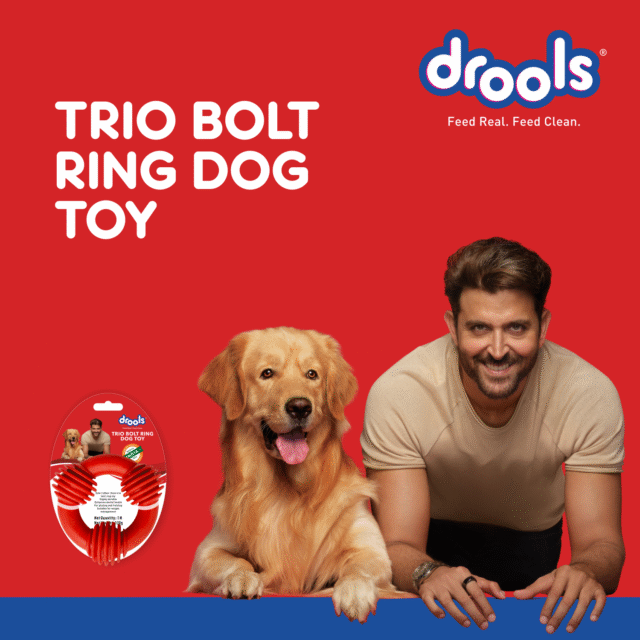 Drools Non-Toxic Rubber Trio Bolt Ring Dog Toy ,Puppy/ Dog teething Toy - Image 5