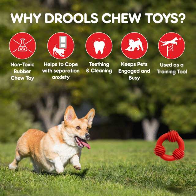 Drools Non-Toxic Rubber Trio Bolt Ring Dog Toy ,Puppy/ Dog teething Toy - Image 6
