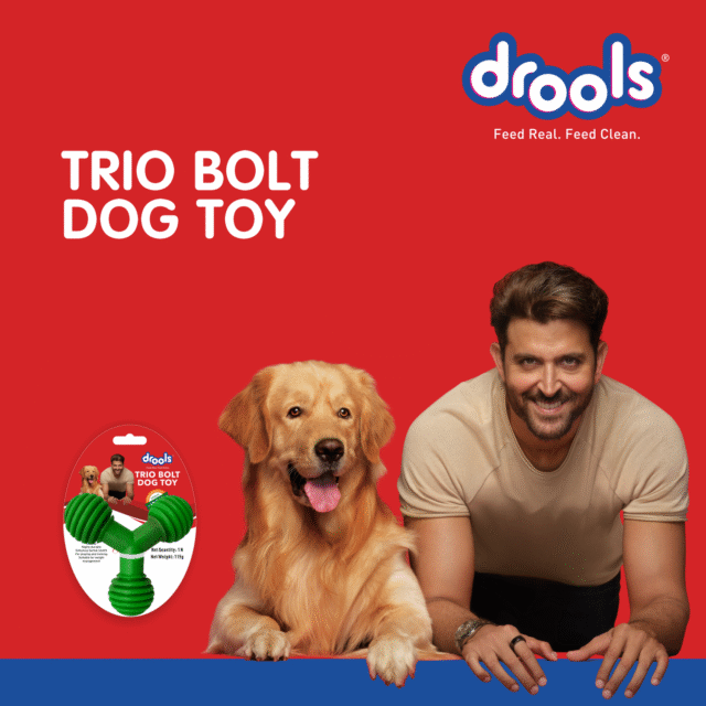Drools Non-Toxic Rubber Trio Bolt Dog Toy, Puppy/Dog Teething Toy - Image 5