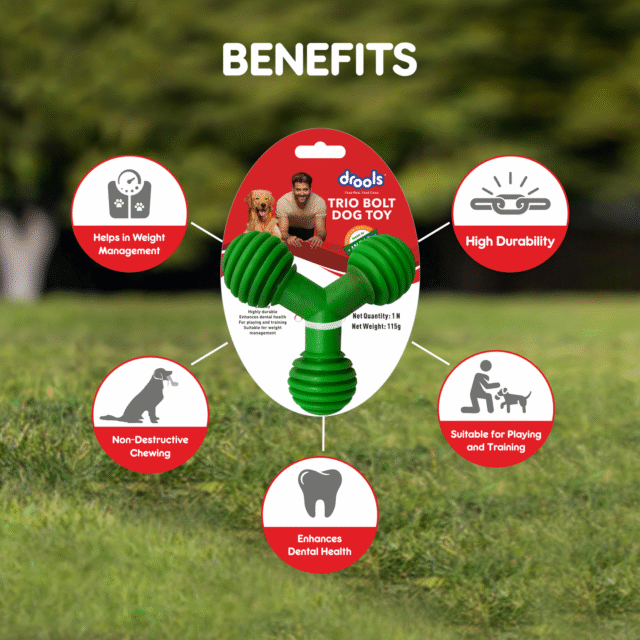 Drools Non-Toxic Rubber Trio Bolt Dog Toy, Puppy/Dog Teething Toy - Image 4