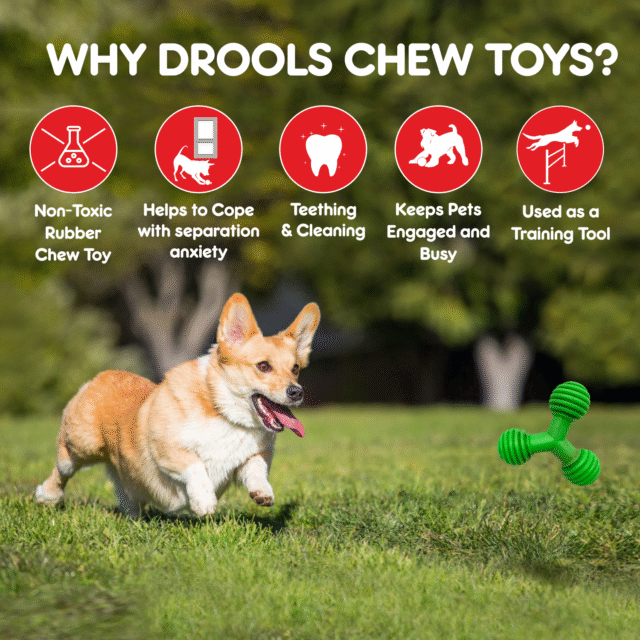 Drools Non-Toxic Rubber Trio Bolt Dog Toy, Puppy/Dog Teething Toy - Image 3