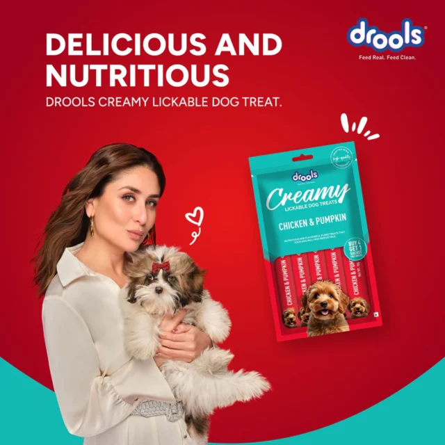 Drools Chicken & Pumpkin Creamy Dog Treats (5 Sticks) - Image 4