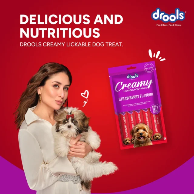 Drools Strawberry Creamy Dog Treats (5 Sticks) - Image 3