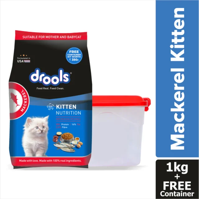 Drools Cat Dry Food - Mackerel Kitten (1 to 12 Months)