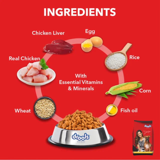 Drools Chicken and Egg Adult Dry Dog Food - (1.2kg | 3kg | 10kg | 20kg) - Image 3