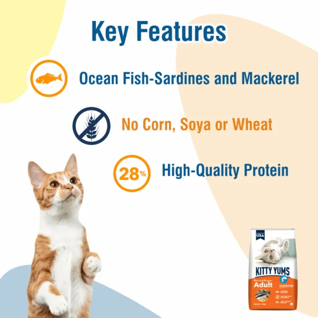 Kitty Yums Ocean Fish - Adult Dry Cat Food (1.2kg | 3kg | 7kg) - Image 3