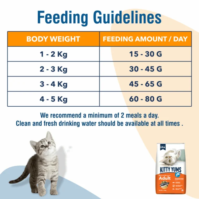 Kitty Yums Ocean Fish - Adult Dry Cat Food (1.2kg | 3kg | 7kg) - Image 5