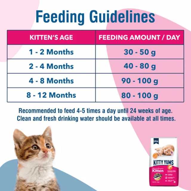 Kitty Yums Ocean Fish - Kitten Dry Cat Food (1.2kg | 3kg | 7kg) - Image 5