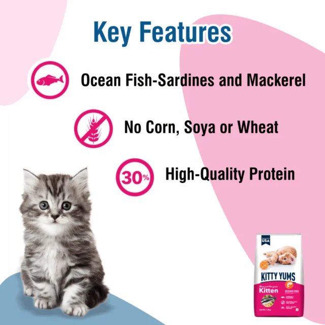 Kitty Yums Ocean Fish - Kitten Dry Cat Food (1.2kg | 3kg | 7kg) - Image 3