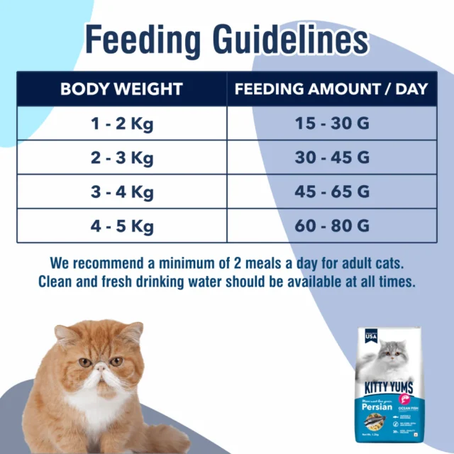 Kitty Yums Ocean Fish - Persian Cat Dry Food (1.2kg | 3kg | 7kg) - Image 6