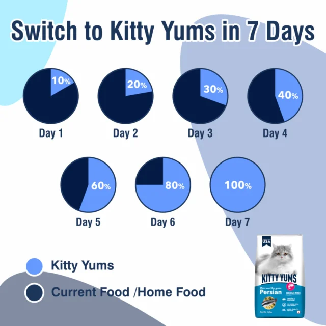 Kitty Yums Ocean Fish - Persian Cat Dry Food (1.2kg | 3kg | 7kg) - Image 4