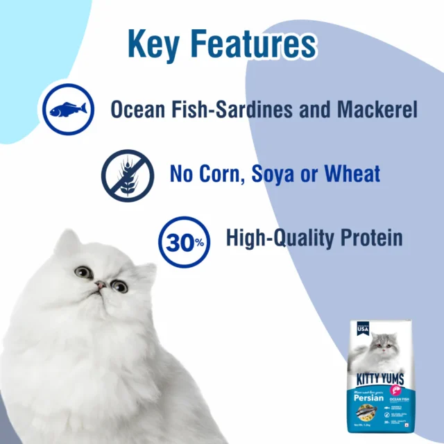 Kitty Yums Ocean Fish - Persian Cat Dry Food (1.2kg | 3kg | 7kg) - Image 3