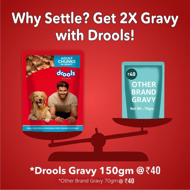 Drools Adult Wet Dog Food, Real Chicken and Chicken Liver Chunks in Gravy - Image 5