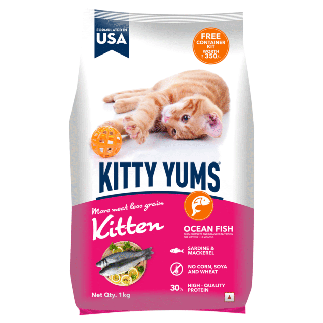 Kitty Yums Ocean Fish - Kitten Dry Cat Food 1kg (with Free Container) - Image 2
