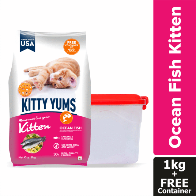 Kitty Yums Ocean Fish - Kitten Dry Cat Food 1kg (with Free Container)