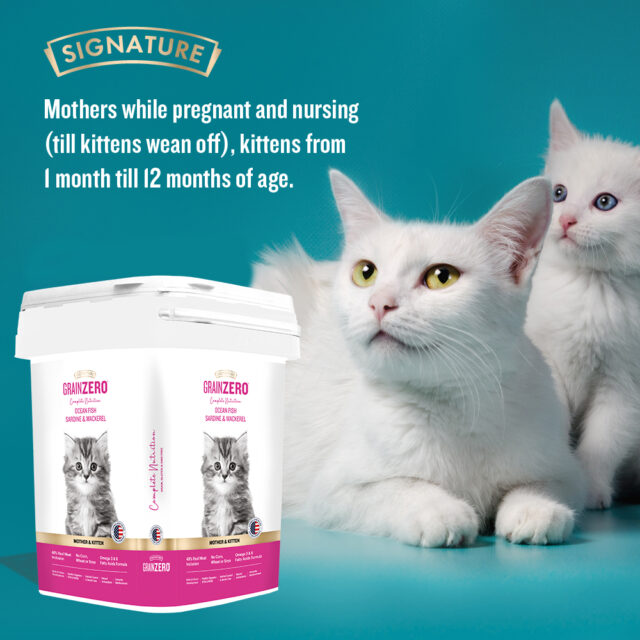Grain Zero Cat Kitten Dry Food 7 kg - Image 6