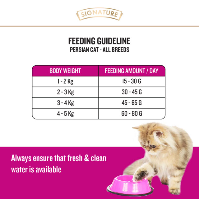 Grain Zero Adult Persian Dry Cat Food -1.2kg - Image 6