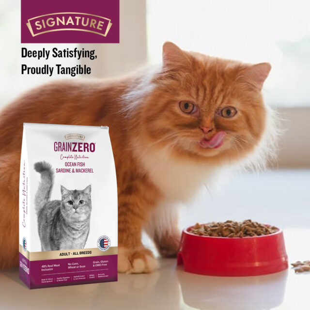 Grain Zero Adult Persian Dry Cat Food -1.2kg - Image 7