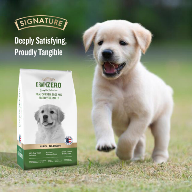 Grain Zero Real Chicken Egg and Vegetables - Starter Dry Dog Food (1.2kg | 3kg | 12kg) - Image 11