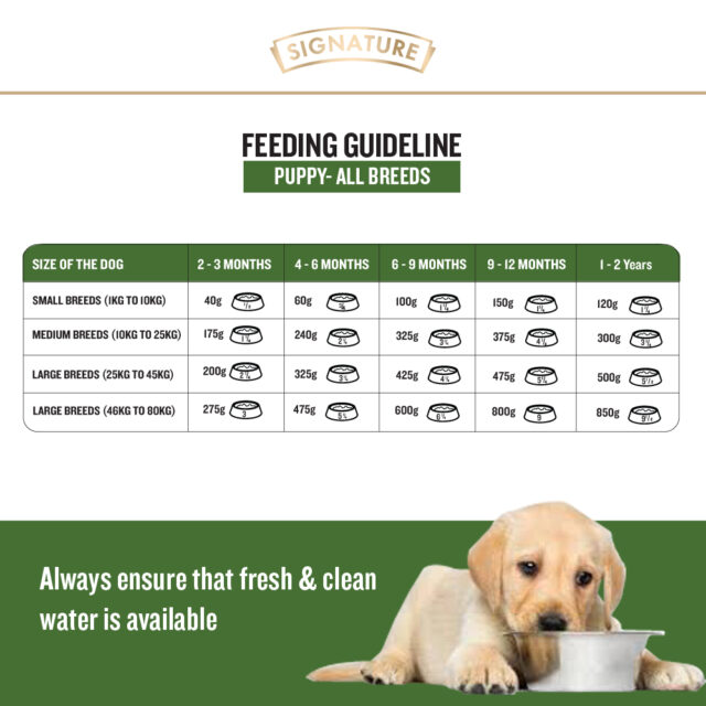 Grain Zero Real Chicken Egg and Vegetables - Starter Dry Dog Food (1.2kg | 3kg | 12kg) - Image 9