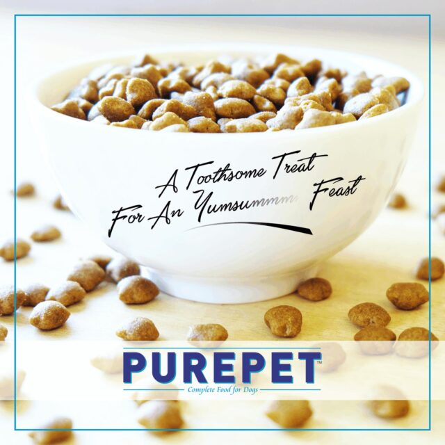 Purepet Ocean Fish Adult Cat Dry Food (1kg | 6kg | 20kg) - Image 4