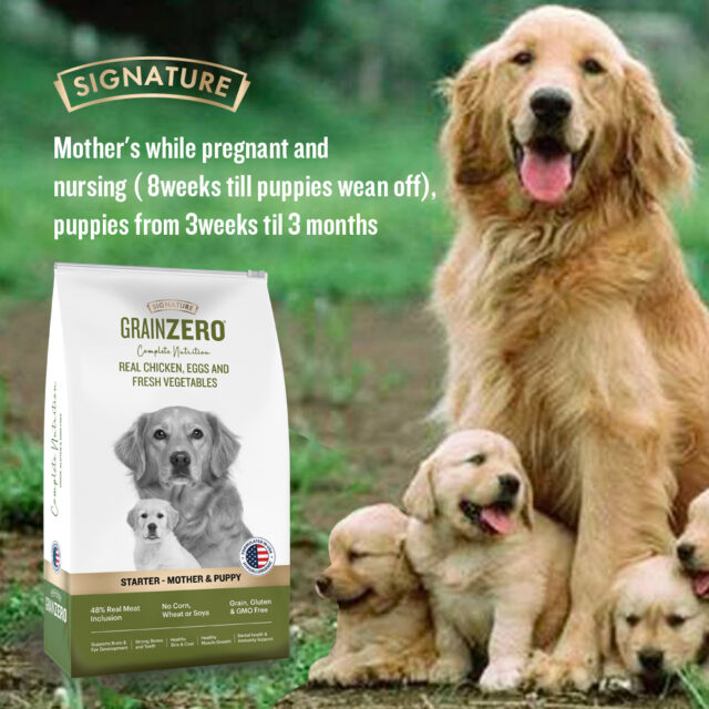 Grain Zero Real Chicken Egg and Vegetables - Starter Dry Dog Food (1.2kg | 3kg | 12kg) - Image 10