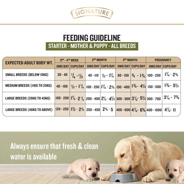 Grain Zero Real Chicken Egg and Vegetables - Starter Dry Dog Food (1.2kg | 3kg | 12kg) - Image 8