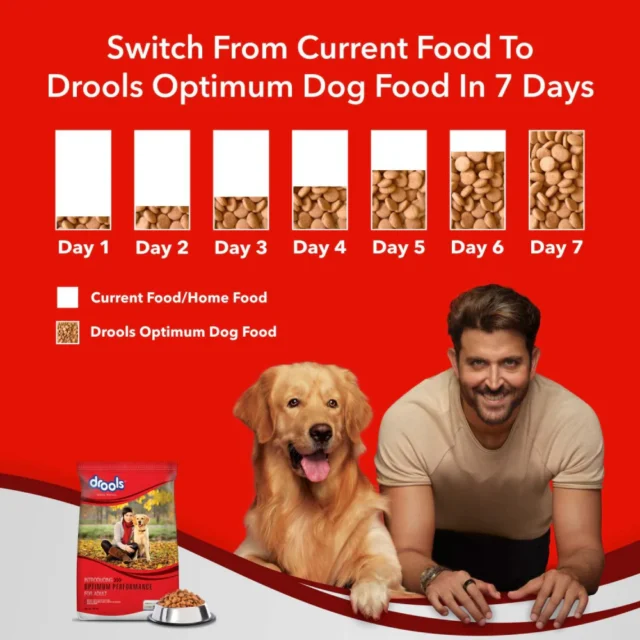 Drools Optimum Performance Adult Dog Food  (10 kg | 20 kg) - Image 5