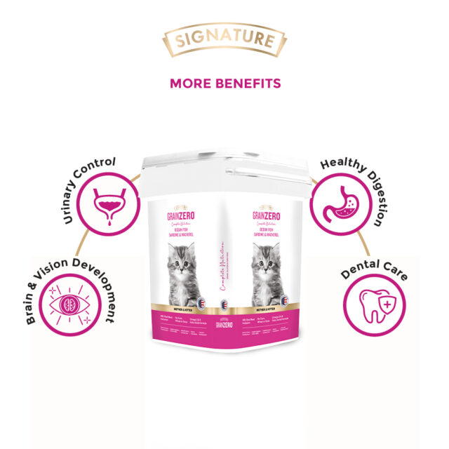 Grain Zero Cat Kitten Dry Food 7 kg - Image 4