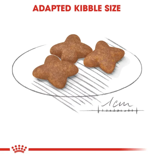 Royal Canin Mini Adult Dog Dry Food (800g | 2kg | 4kg | 8kg) - Image 4