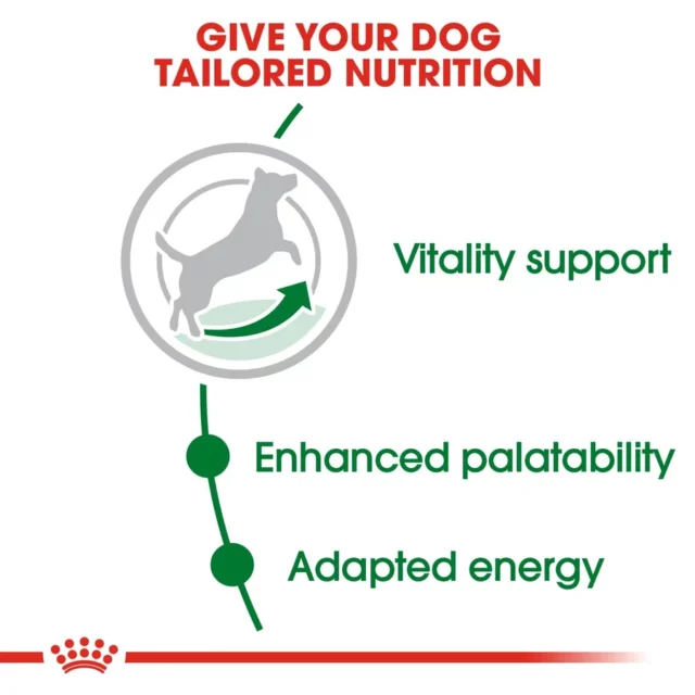 Royal Canin Mini 8+ Adult Dog Dry Food (2kg | 4kg) - Image 4