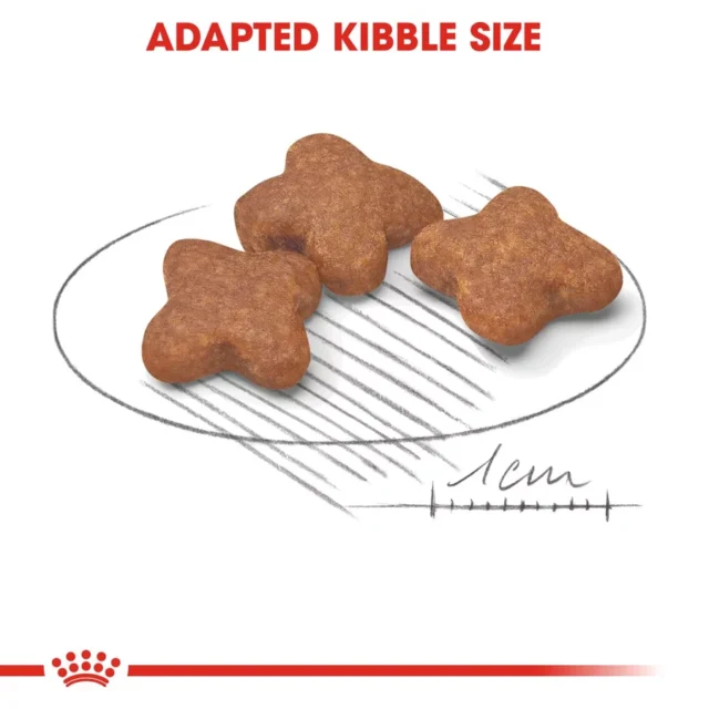 Royal Canin Mini 8+ Adult Dog Dry Food (2kg | 4kg) - Image 2