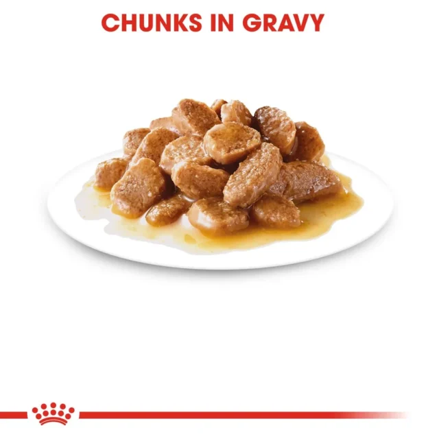 Royal Canin Mini Adult Gravy Dog Wet Food (12x85g) - Image 3