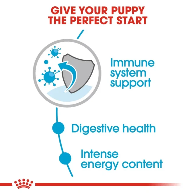 Royal Canin Mini Puppy Gravy Dog Wet Food (12x85g) - Image 4