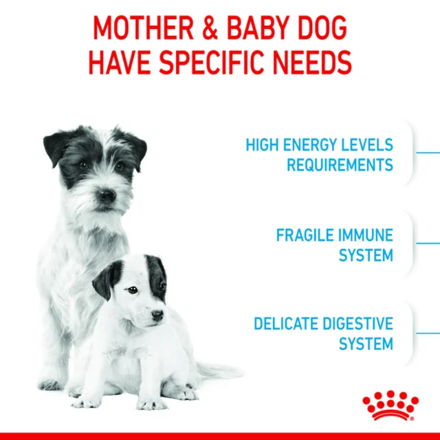 Royal Canin Mini Starter for Small Breed Dogs and Puppies Dry Food (220g | 1kg | 3kg) - Image 3